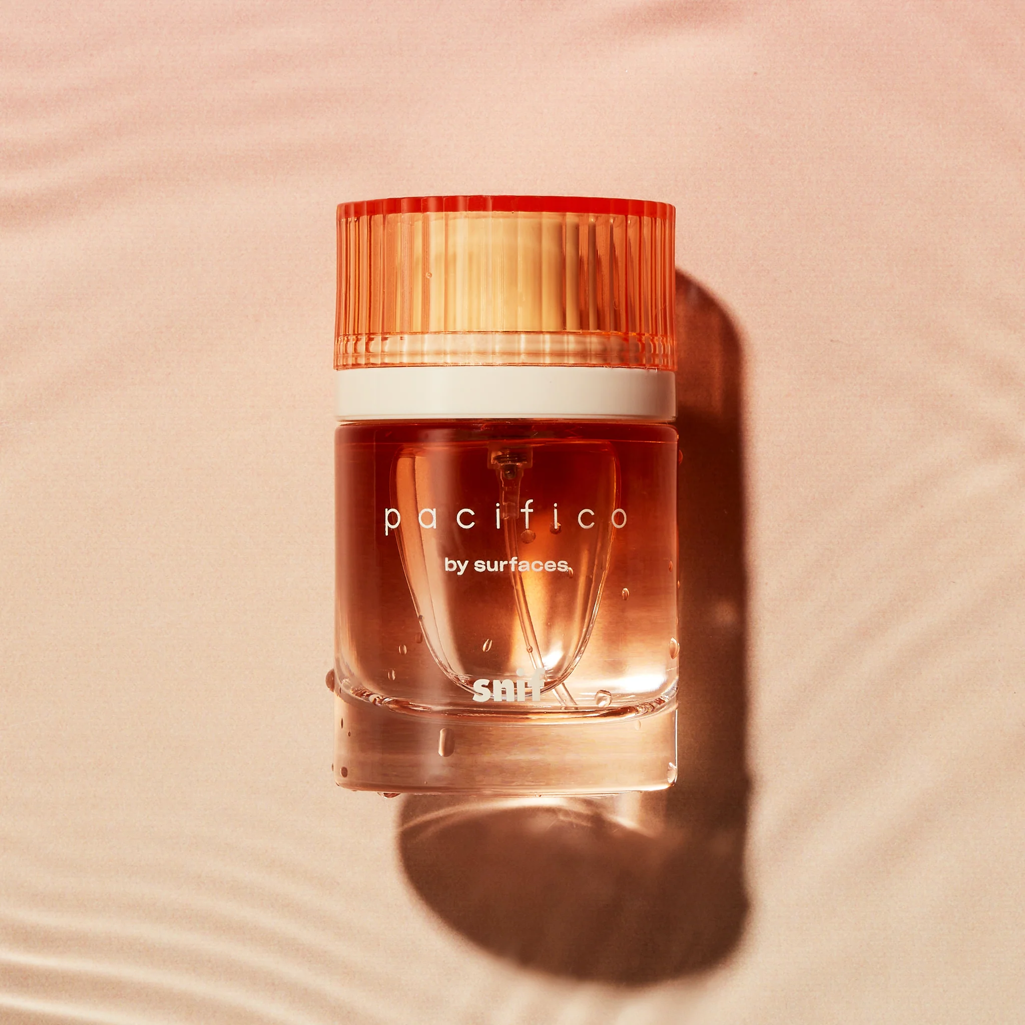 Pacifico - Image 17