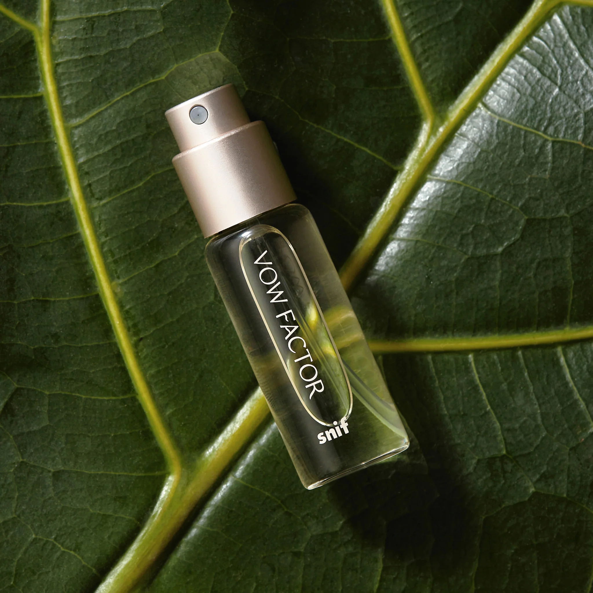 Professor Perfume Fragrance Bundle - Image 7